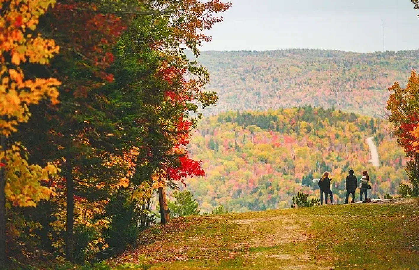 Fall Colours Festival