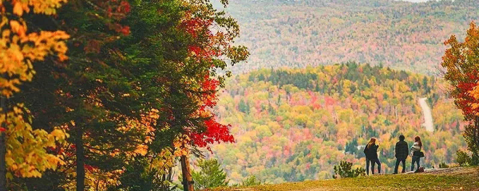 Fall Colours Festival