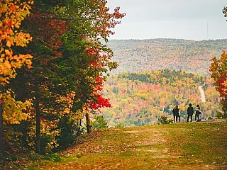 Fall Colours Festival