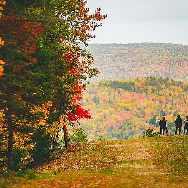 Fall Colours Festival