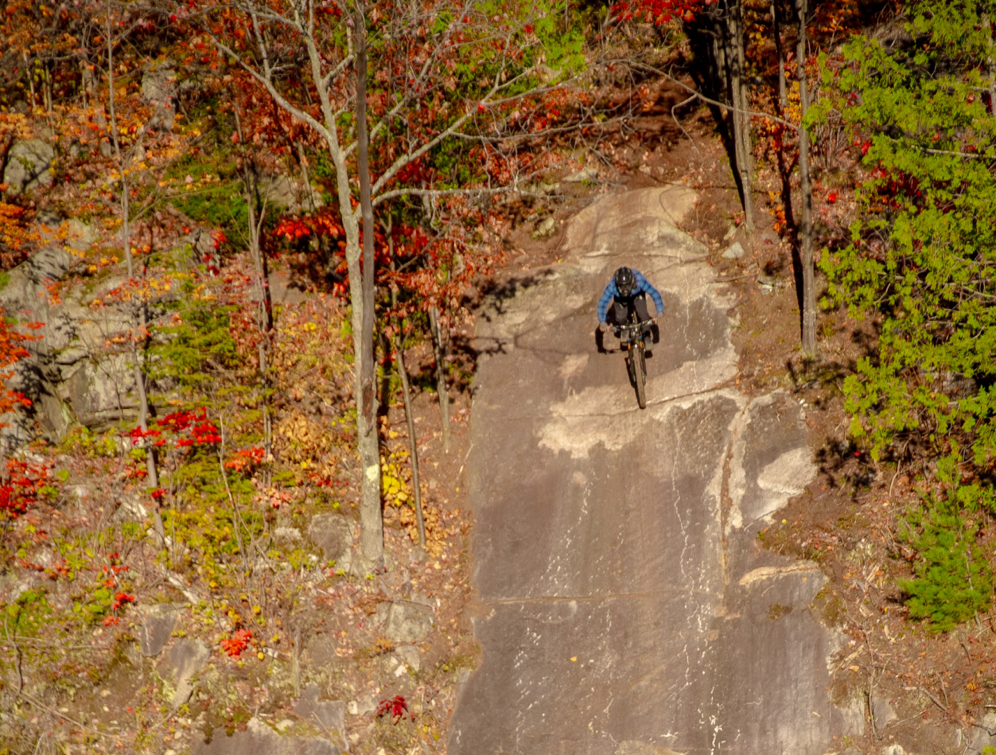 Vélo de montagne